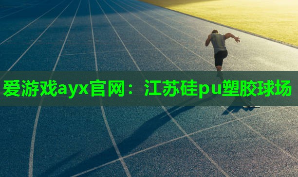 爱游戏ayx官网：江苏硅pu塑胶球场