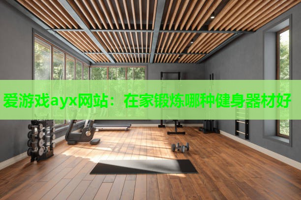 爱游戏ayx网站：在家锻炼哪种健身器材好