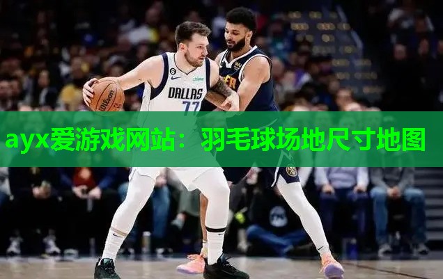 ayx爱游戏网站：羽毛球场地尺寸地图