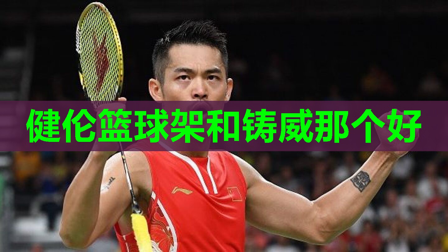 健伦篮球架和铸威那个好