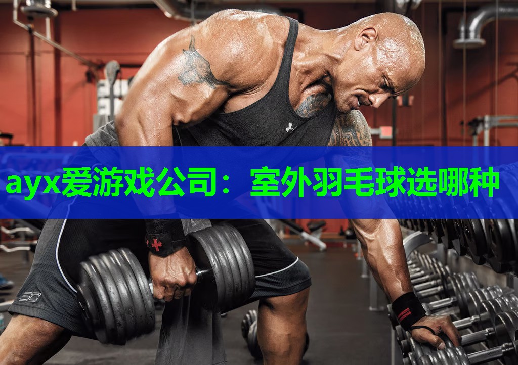 ayx爱游戏公司：室外羽毛球选哪种