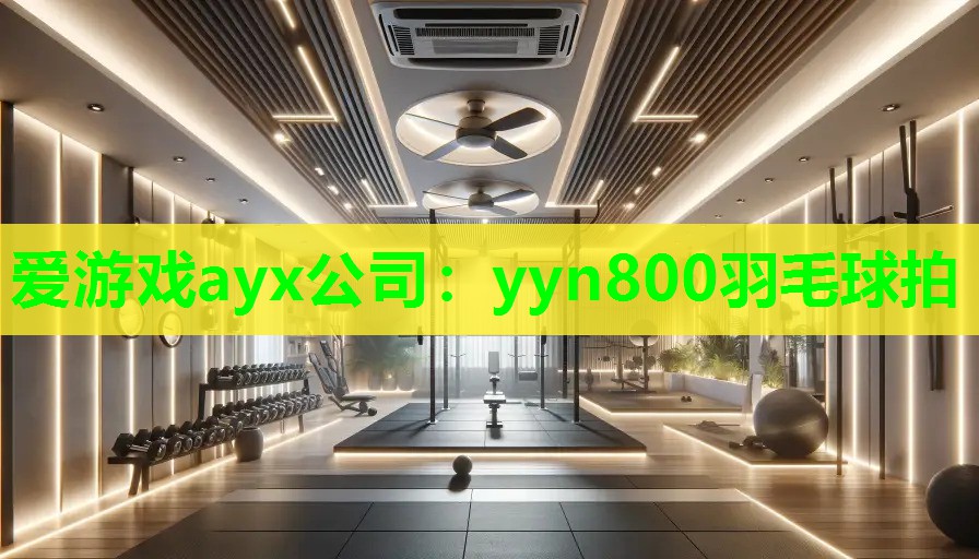 爱游戏ayx公司：yyn800羽毛球拍