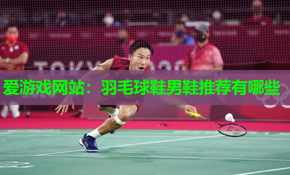 爱游戏网站：羽毛球鞋男鞋推荐有哪些