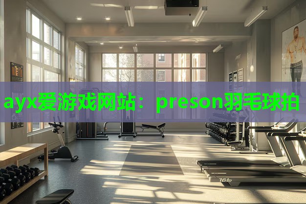 ayx爱游戏网站：preson羽毛球拍