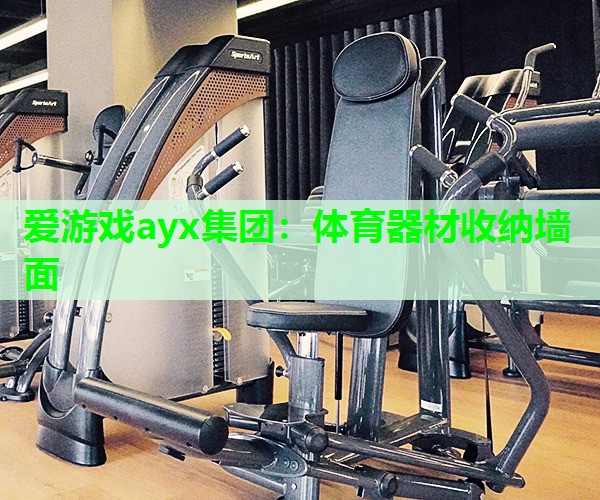 爱游戏ayx集团：体育器材收纳墙面