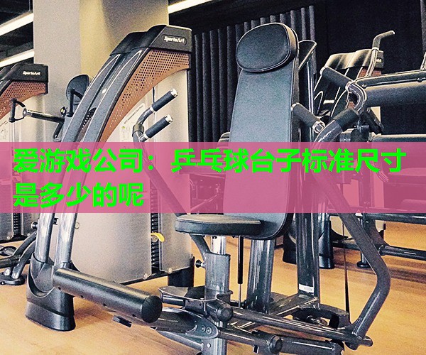 爱游戏公司：乒乓球台子标准尺寸是多少的呢