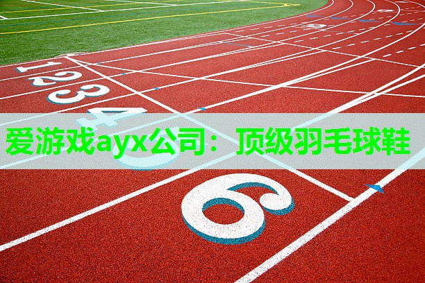 爱游戏ayx公司：顶级羽毛球鞋