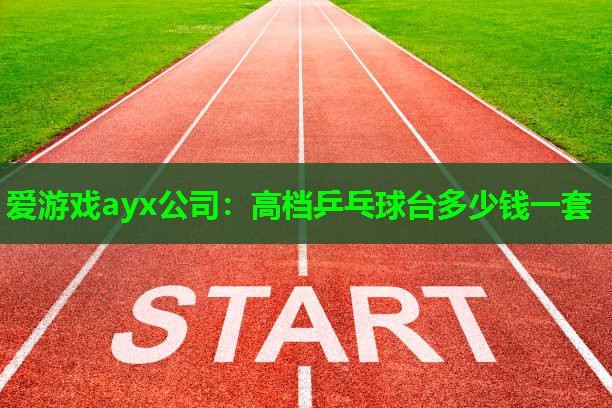 爱游戏ayx公司：高档乒乓球台多少钱一套