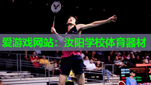 汝阳学校体育器材