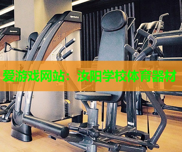 汝阳学校体育器材