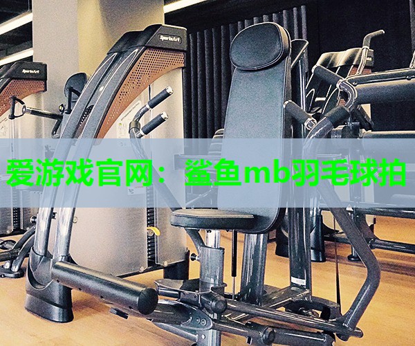 鲨鱼mb羽毛球拍