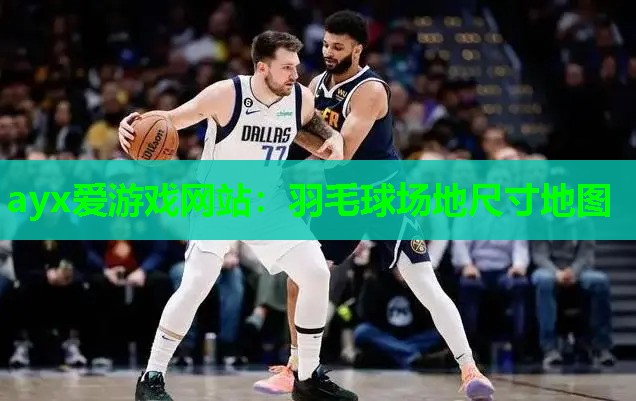 羽毛球场地尺寸地图