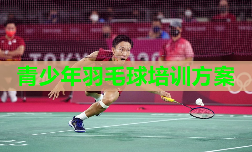 青少年羽毛球培训方案