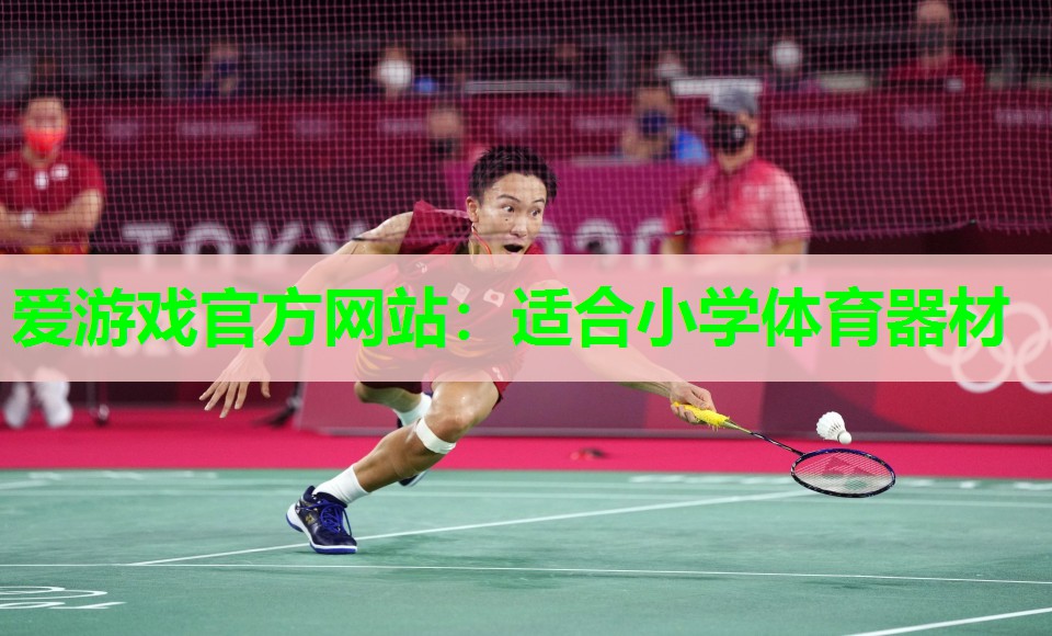 适合小学体育器材