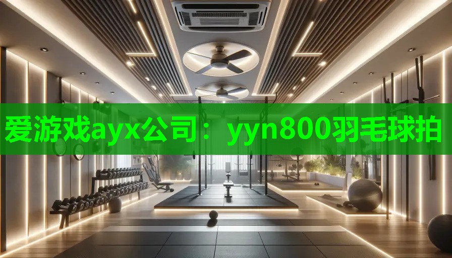 yyn800羽毛球拍