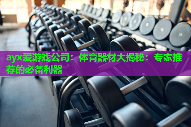 体育器材大揭秘：专家推荐的必备利器
