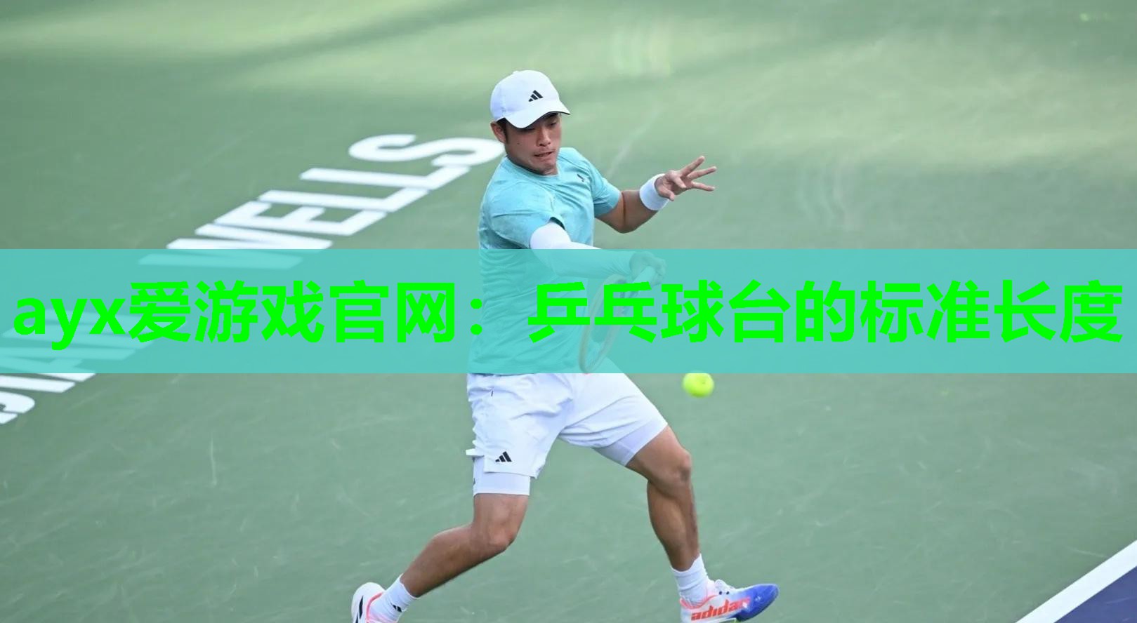 乒乓球台的标准长度