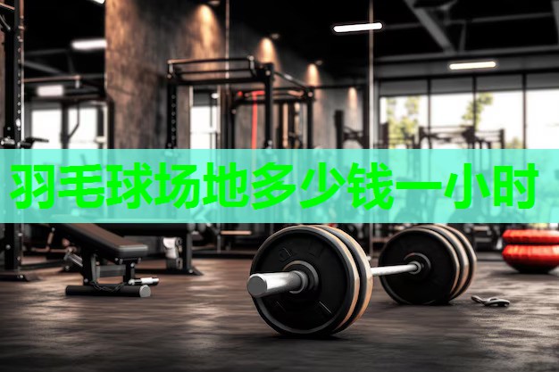 羽毛球场地多少钱一小时