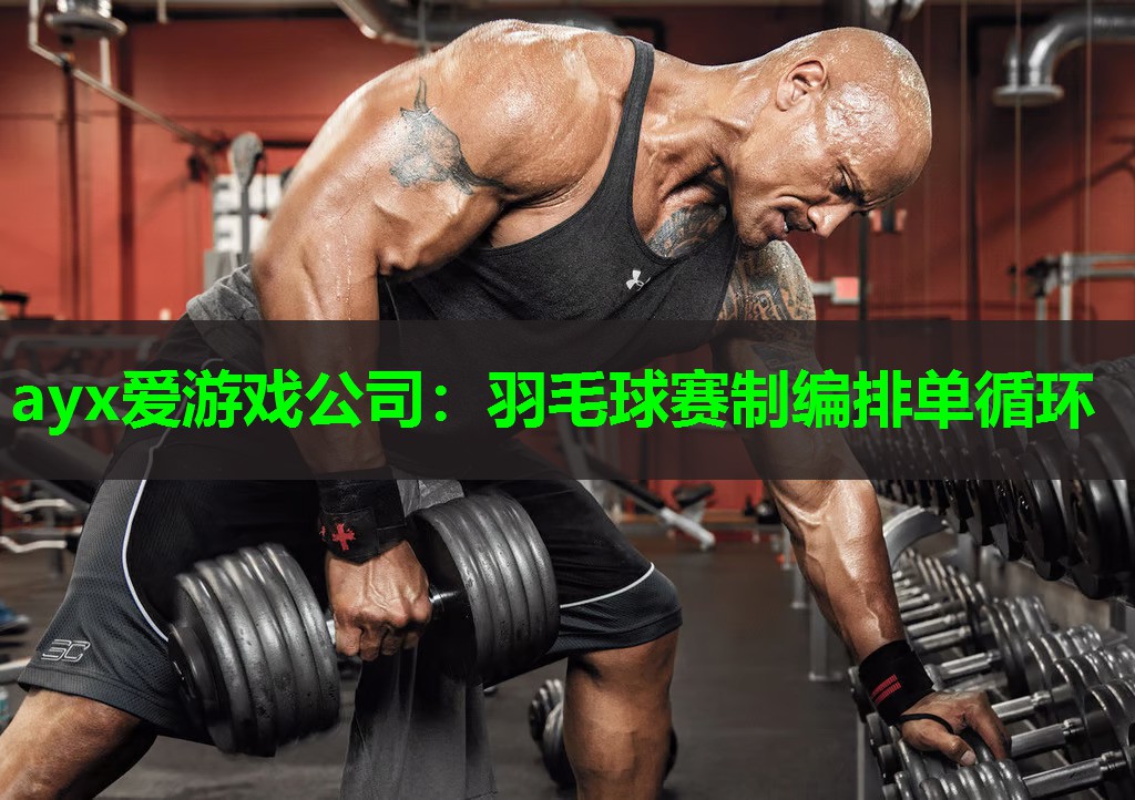 羽毛球赛制编排单循环