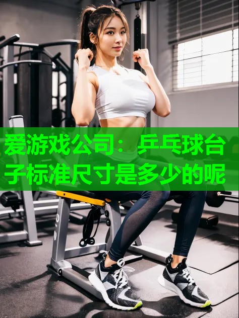乒乓球台子标准尺寸是多少的呢