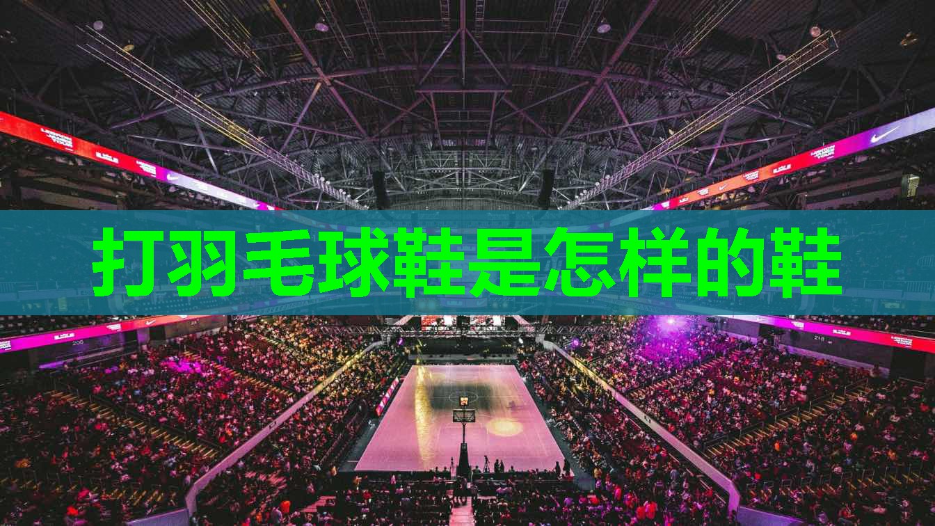 打羽毛球鞋是怎样的鞋